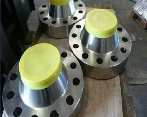 Galvanized Threaded Pipe Flange